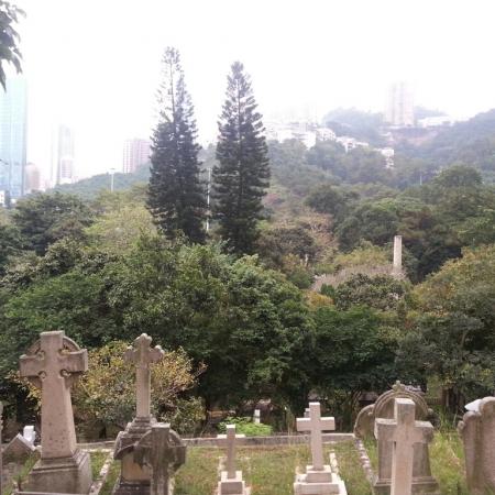 檢示大圖