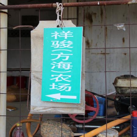檢示大圖