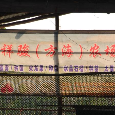 檢示大圖