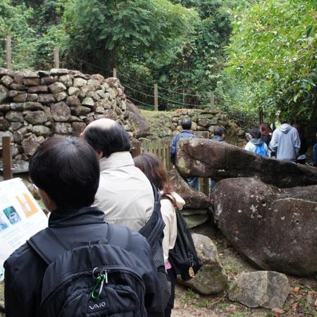 檢示大圖