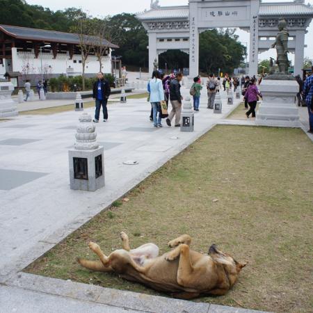 檢示大圖