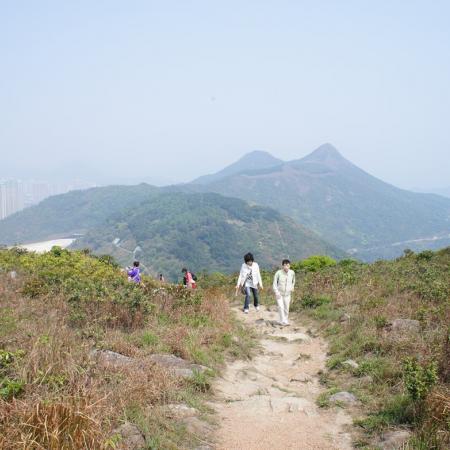 檢示大圖