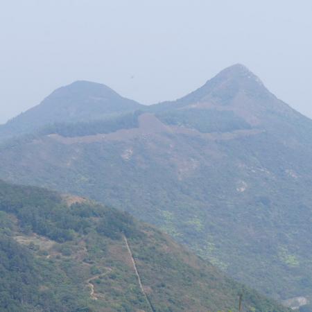 檢示大圖